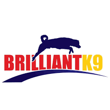 BrilliantK9