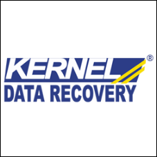 Kernel Data Recovery Coupon Codes