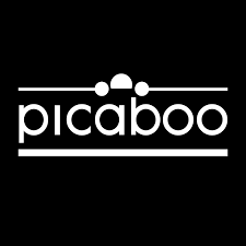 Picaboo Coupon Codes